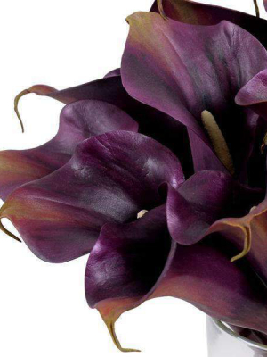 Eggplant Calla Lily Arrangement