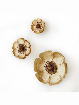 Global Views Golden Poppies - Set Of 3