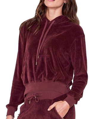 Sundry Velour Hoodie Sweater Cacao