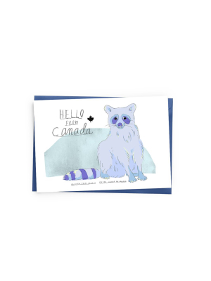 Raccoon (canada) Card