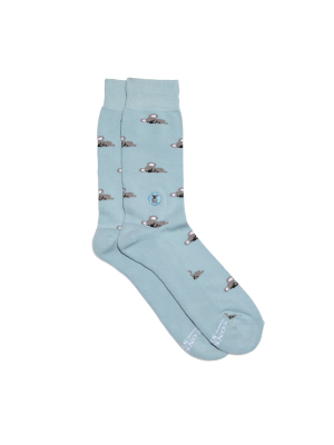 Socks That Protect Koalas