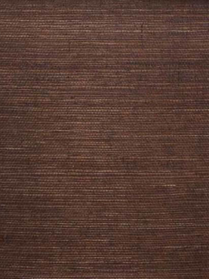 Sisal Wallpaper In Dark Brown From The Winds Of The Asian Pacific Collection By Burke Decor