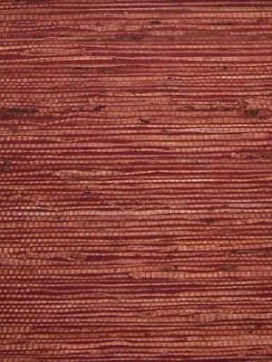 Fine Arrowroot Wallpaper In Maroon From The Winds Of The Asian Pacific Collection By Burke Decor