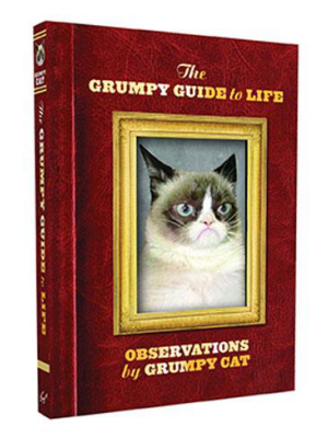 Grumpy Guide To Life