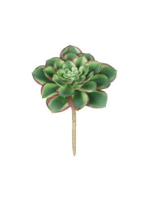 Sullivans Artificial Succulent 6"h Green