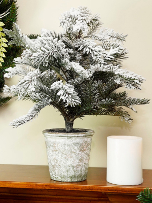 Northlight 20" Unlit Artificial Flocked Pine Tree In Faux Paper Pot