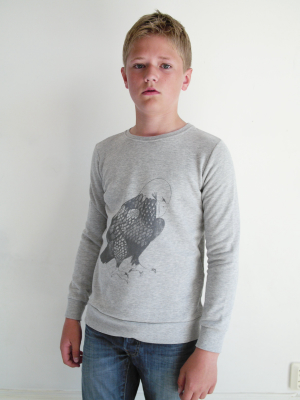 Basic Sweatshirt Eagle Grey