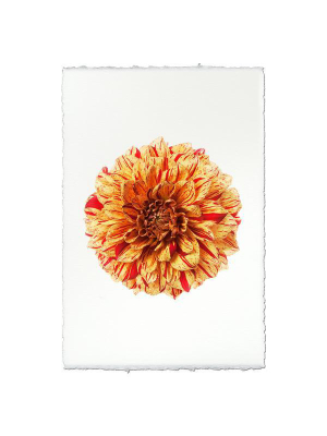 Dahlia Print - Gloriosa