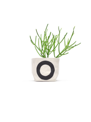 Gray Green Goods Circle Canvas Planter - Medium