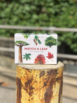 Match A Leaf Memory Game
