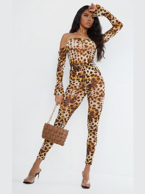 Brown Cheetah Mesh Leggings