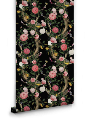 Garden Bloom Wallpaper In Black From The Kingdom Home Collection By Milton & King