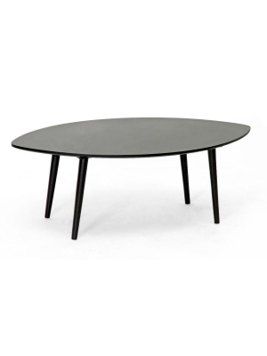 Grand Mid-century Dark Brown Coffee Table