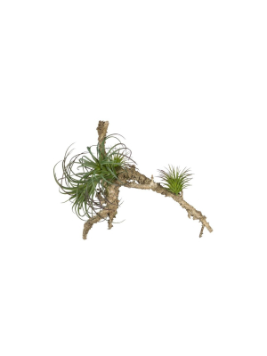 Sullivans Artificial Air Grass Plant 8"h Green