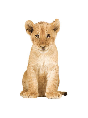 Lion Cub Wall Sticker
