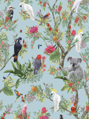 Australia Wallpaper In Powder Blue From The Kingdom Home Collection By Milton & King