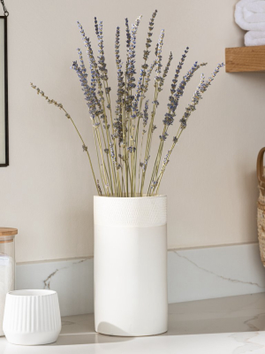 Dried Natural Lavender Bunch