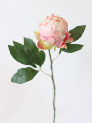 Artificial Flower Pink Peony Bud - 18"