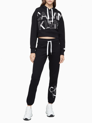 Performance Striped Remix Logo Cropped Sweatshirt