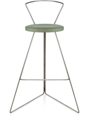 The Coleman Stool With Backrest - Aspen