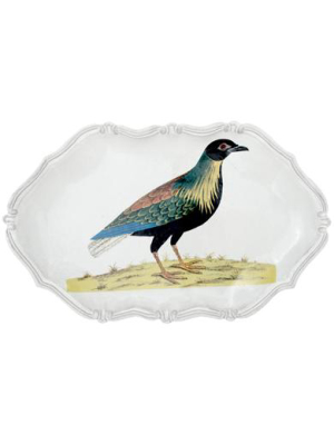 Right Cock Pigeon Platter