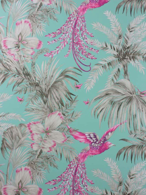 Sample Bird Of Paradise Wallpaper In Turquoise And Pink From The Samana Collection By Matthew Williamson