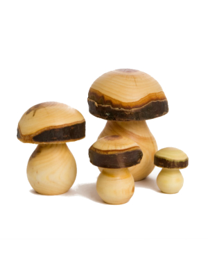 Wooden Mushroom Set