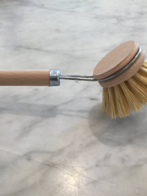 Dish Brush