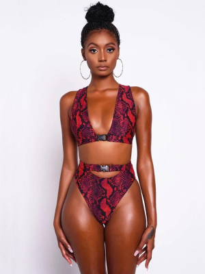 High Waist Snake-print Triangle Thong Brazilian Two Piece Bikini Swimsuit