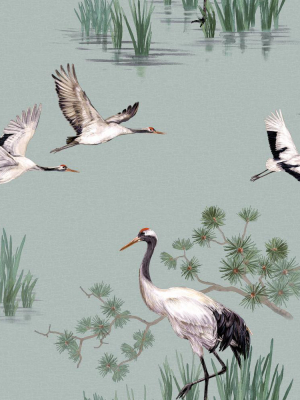 Duck Egg Cranes In Water Wallpaper By Walls Republic