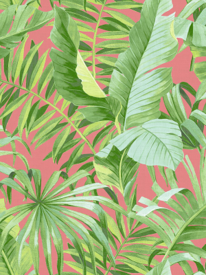 Alfresco Tropical Palm Wallpaper In Coral From The Pacifica Collection By Brewster Home Fashions