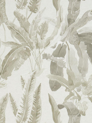 Benmore Wallpaper In Grey And Ivory From The Ashdown Collection By Nina Campbell For Osborne & Little