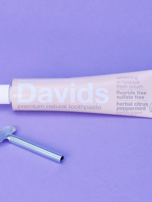 Davids Natural Herbal Citrus Peppermint Toothpaste