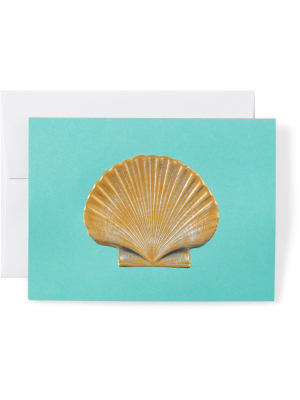 Scallop Shell Note Cards, Set Of 8