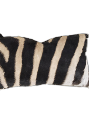 Zebra Pillow, 21x13"