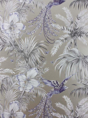 Bird Of Paradise Wallpaper In Purple And Gray From The Samana Collection By Matthew Williamson