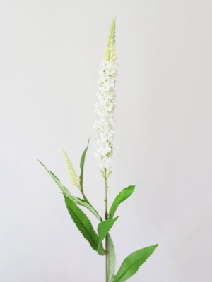 Cream White Veronica Artificial Flower - 30"
