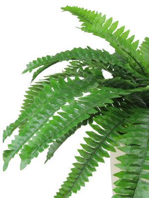 Northlight 24" Boston Fern Artificial Potted Plant - Green/white