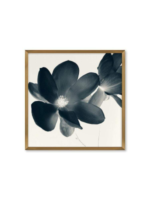 Blu Art Magnolia Ii