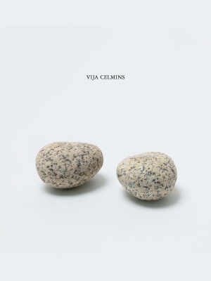 Vija Celmins