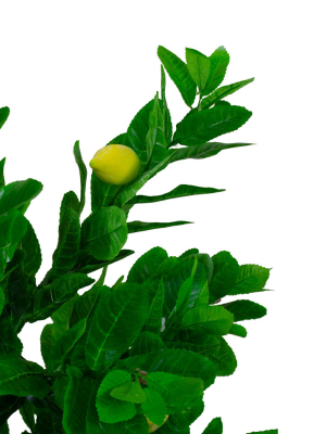 Northlight 4.75' Yellow And Green Artificial Lemon Potted Tree