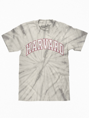 Harvard Tie-dye Tee