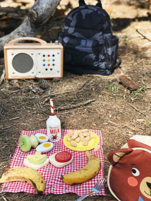 Little Bear’s Picnic