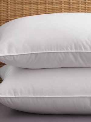 2pk Allergen Barrier Bed Pillow - Pureshield