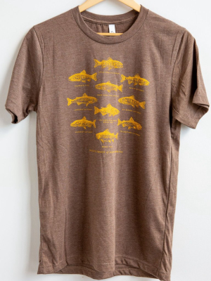 Trout Of North America T-shirt - Heather Brown