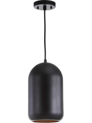 Camron Pendant Painted Black