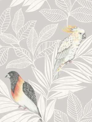 Paradise Island Birds Wallpaper In Daydream Grey And Ivory From The Boho Rhapsody Collection By Seabrook Wallcoverings