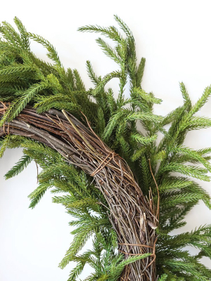 Real Touch Norfolk Pine Wreath - 24"