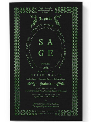 Sage Notebook