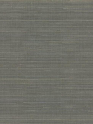 Abaca Weave Wallpaper In Charcoal By Antonina Vella For York Wallcoverings